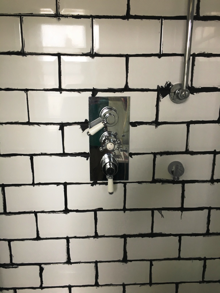 Shower Room Tiles During Grout Colouring in Hove