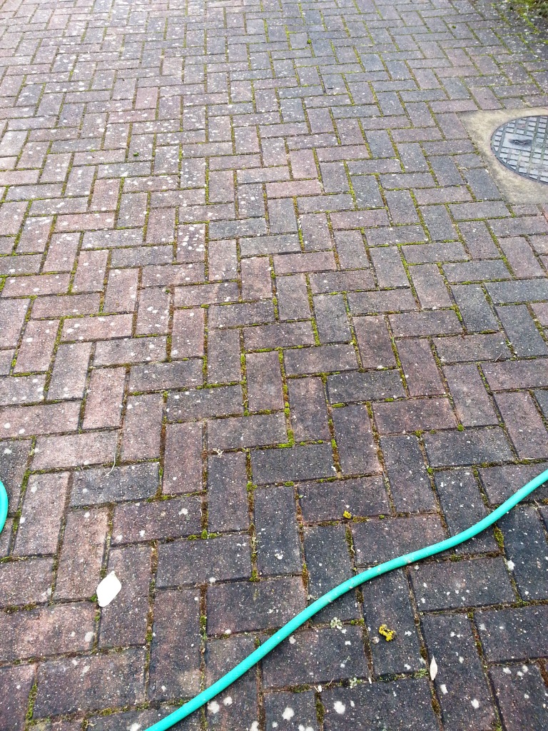 Block Paved Driveway Before Cleaning